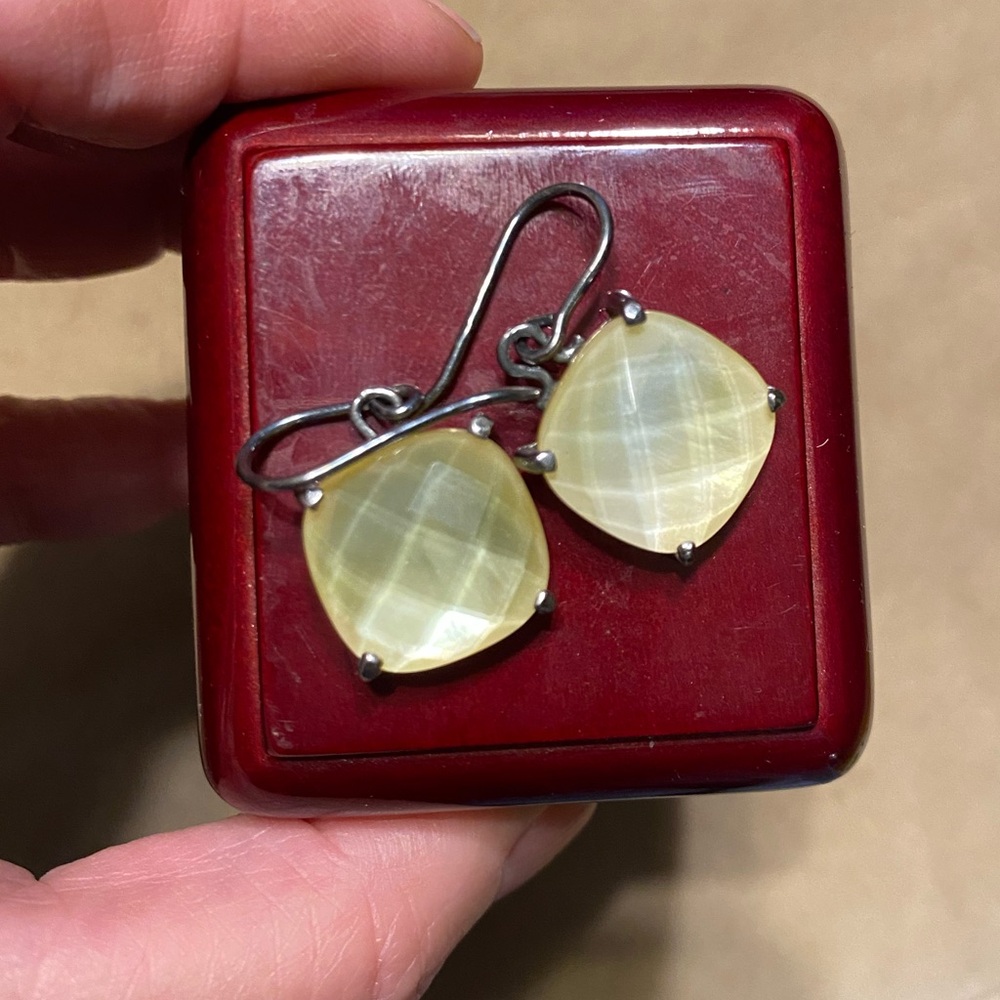 BOTTEGA VENETA EARRINGS